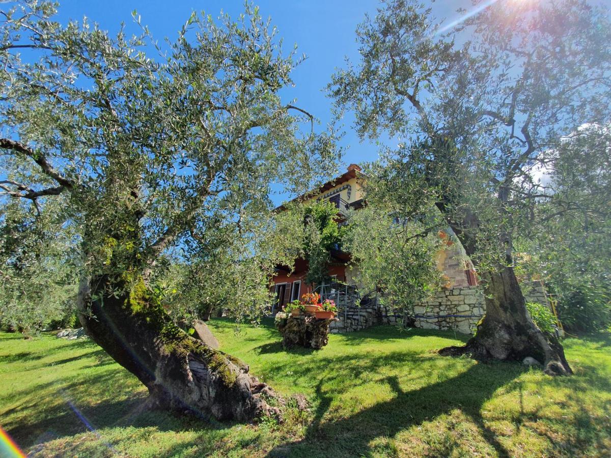 Casa Valenti Lägenhet Brenzone sul Garda Exteriör bild