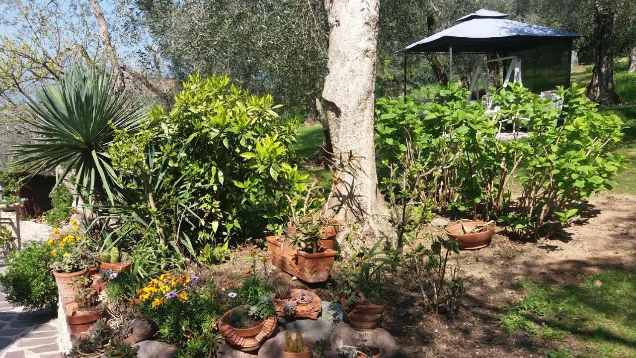 Casa Valenti Lägenhet Brenzone sul Garda Exteriör bild